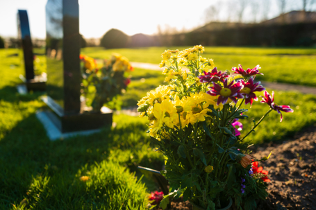 In-focus flowers in a burial plot. A number of fresh marble headstones can be seen.